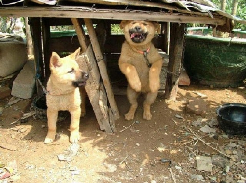 해피 이미지