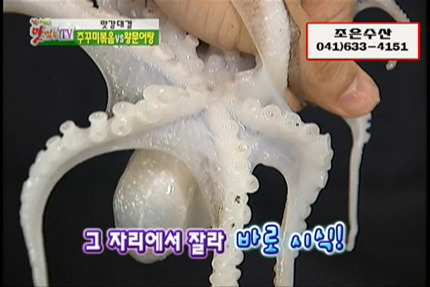 조은수산 이미지