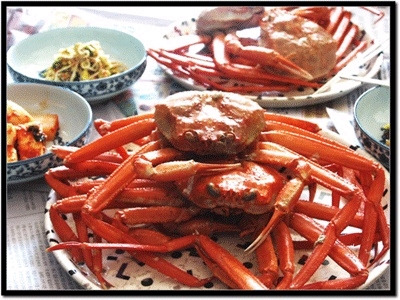 보미네민박 이미지