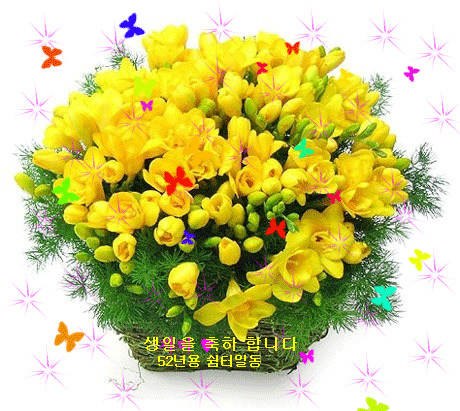 새가람 이미지
