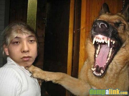 어디야 이미지