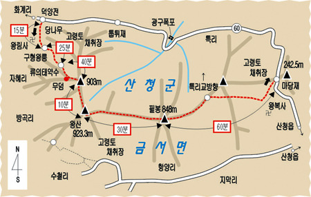 대동IC주유소 이미지