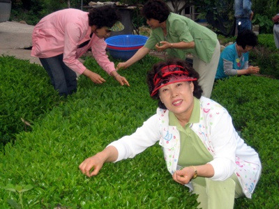 반야다원 이미지